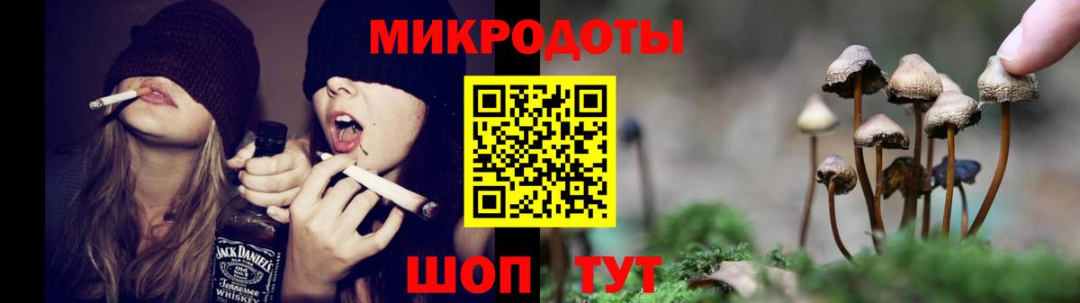 Усть-Кут  Галлюциногенные грибы мицелий  Вход с VPN 